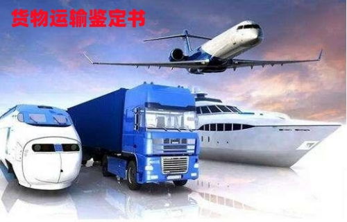 貨物運(yùn)輸條件鑒定書 辦理途徑與現(xiàn)場(chǎng)鑒定適用范圍詳解